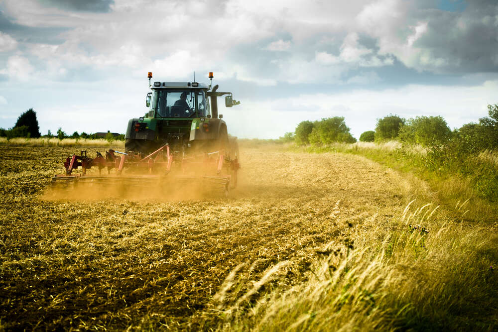 картина-постер Трактор пашет землю в поле