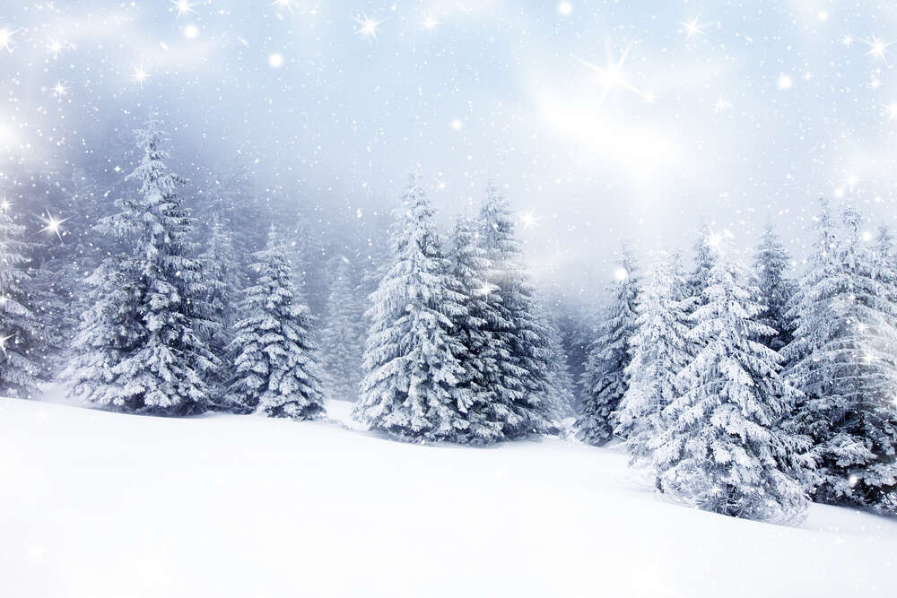 картина-постер Снег белым покровом стелется между елок