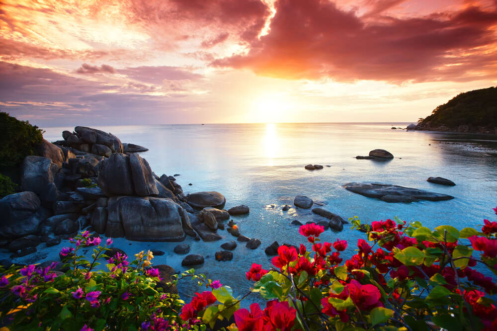 картина-постер Тропические цветы встречают розовый рассвет на холме над заливом