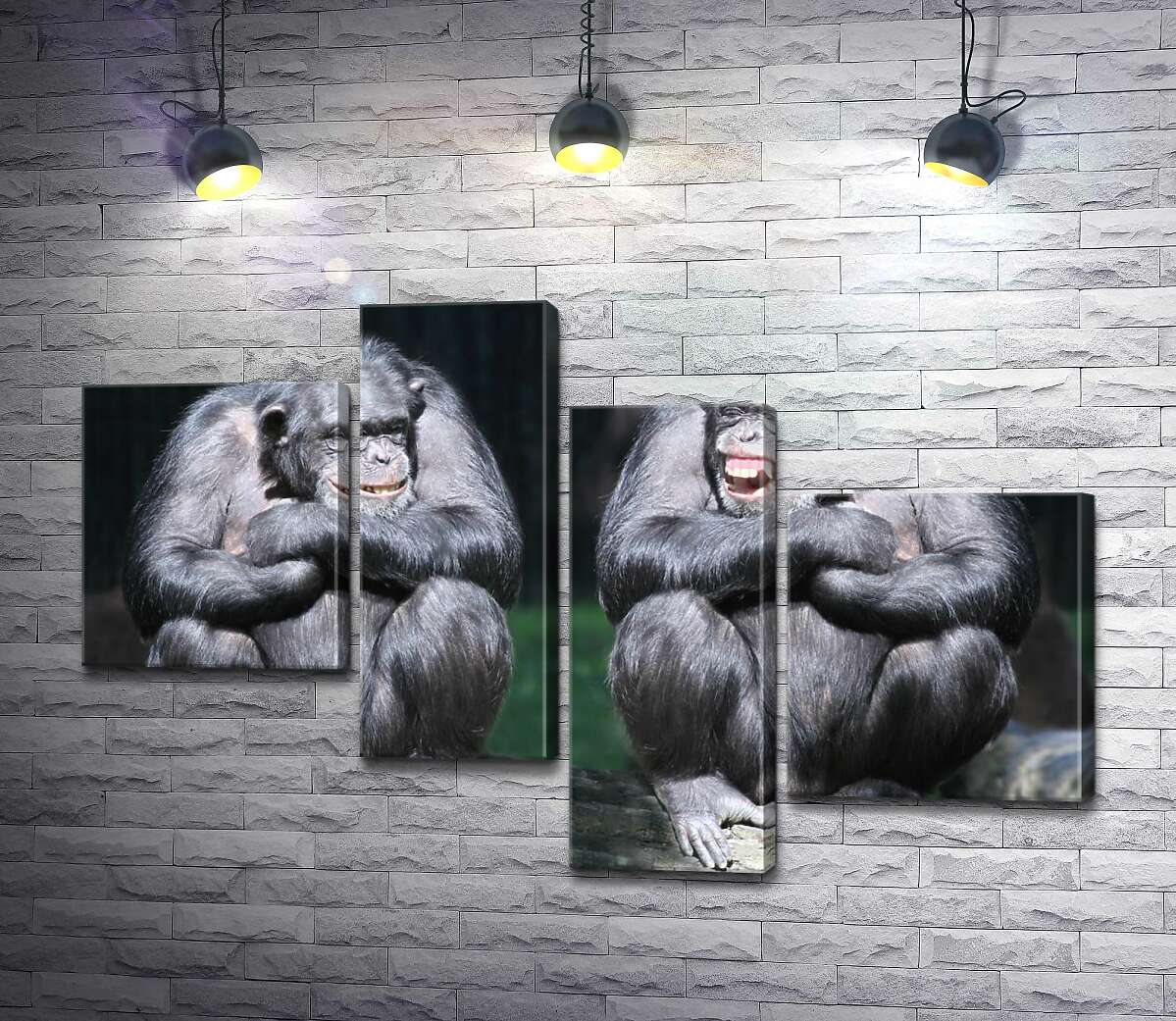 модульна картина Дві мавпи розмовляють на дереві (Модуль №21)
