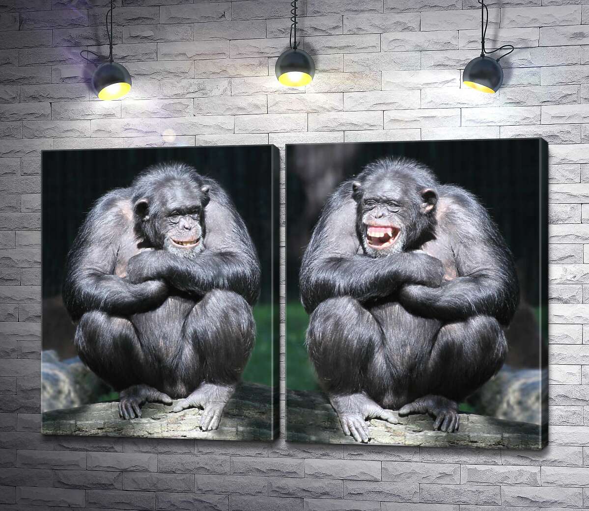 модульная картина Две обезьяны разговаривают на дереве