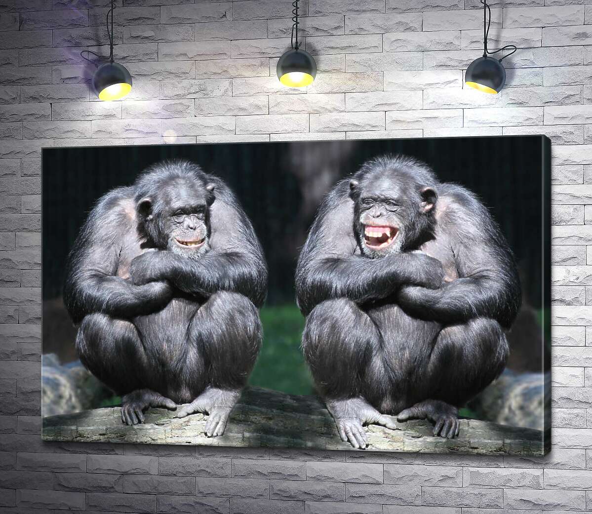 картина Дві мавпи розмовляють на дереві