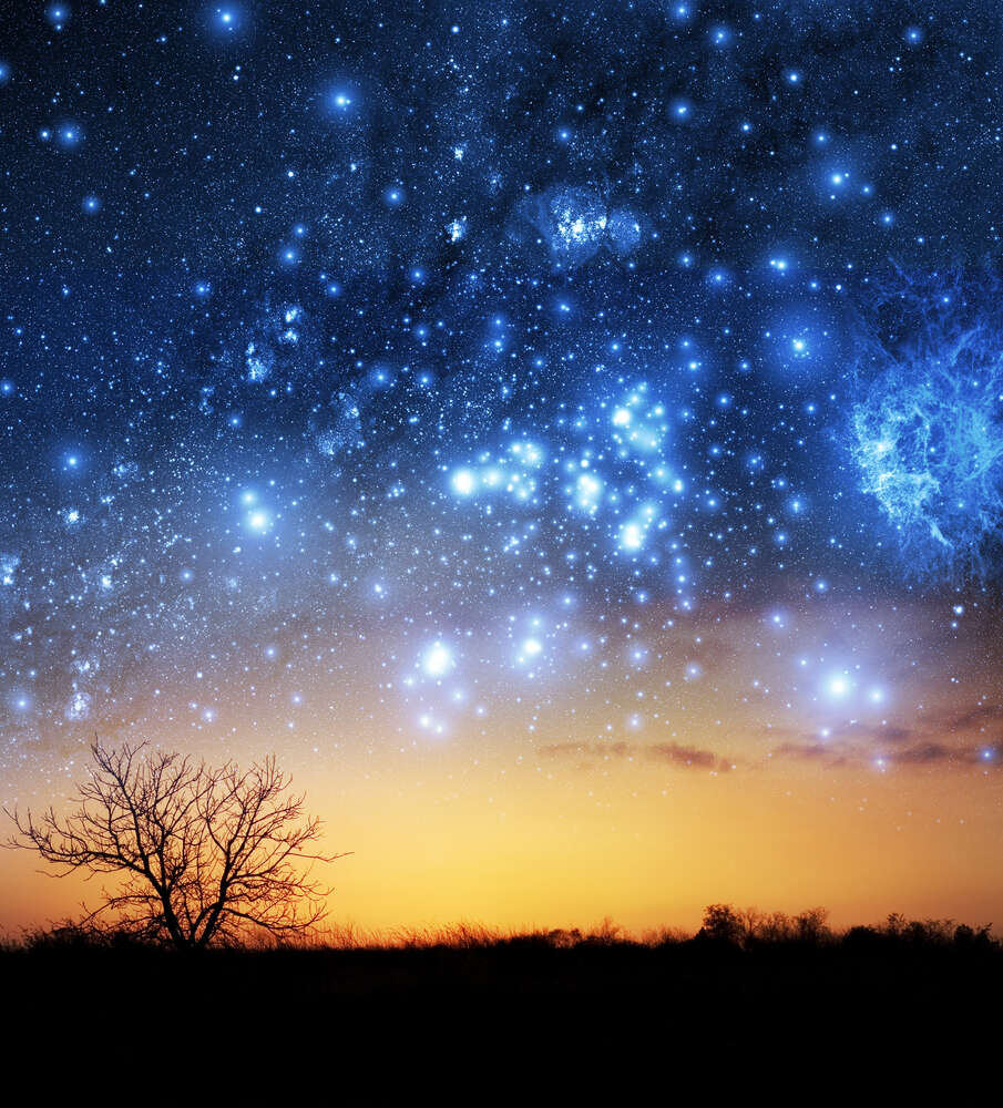 картина-постер Яркие звезды сияют на вечернем небе