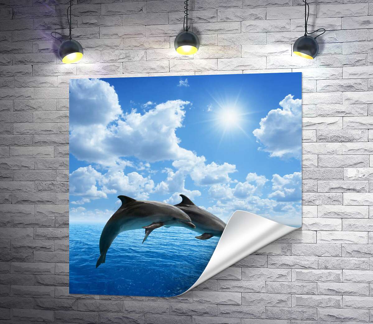 печать Пара дельфинов парит над поверхностью океана