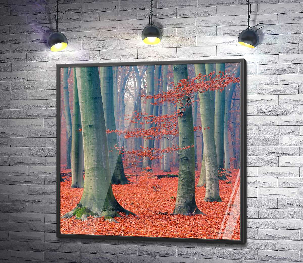 постер Осенний лес покрыт ковром красных листьев