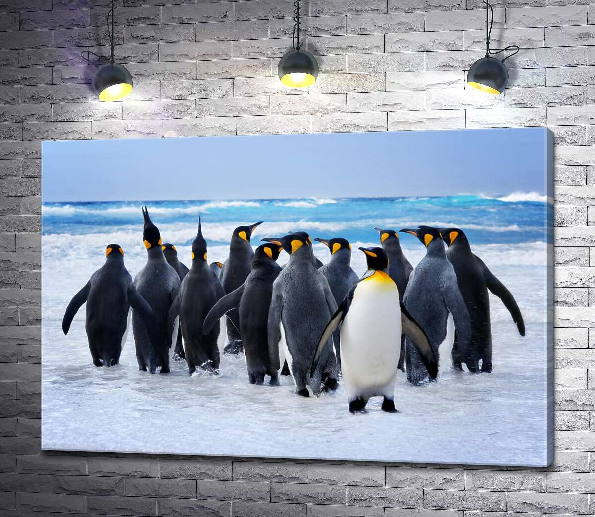картина Група королівських пінгвінів прямує до океану