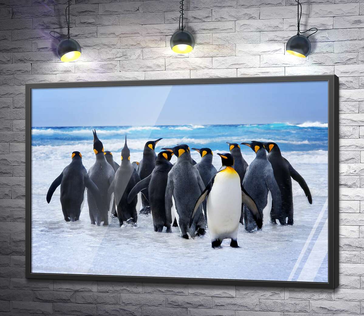 постер Группа королевских пингвинов направляется к океану