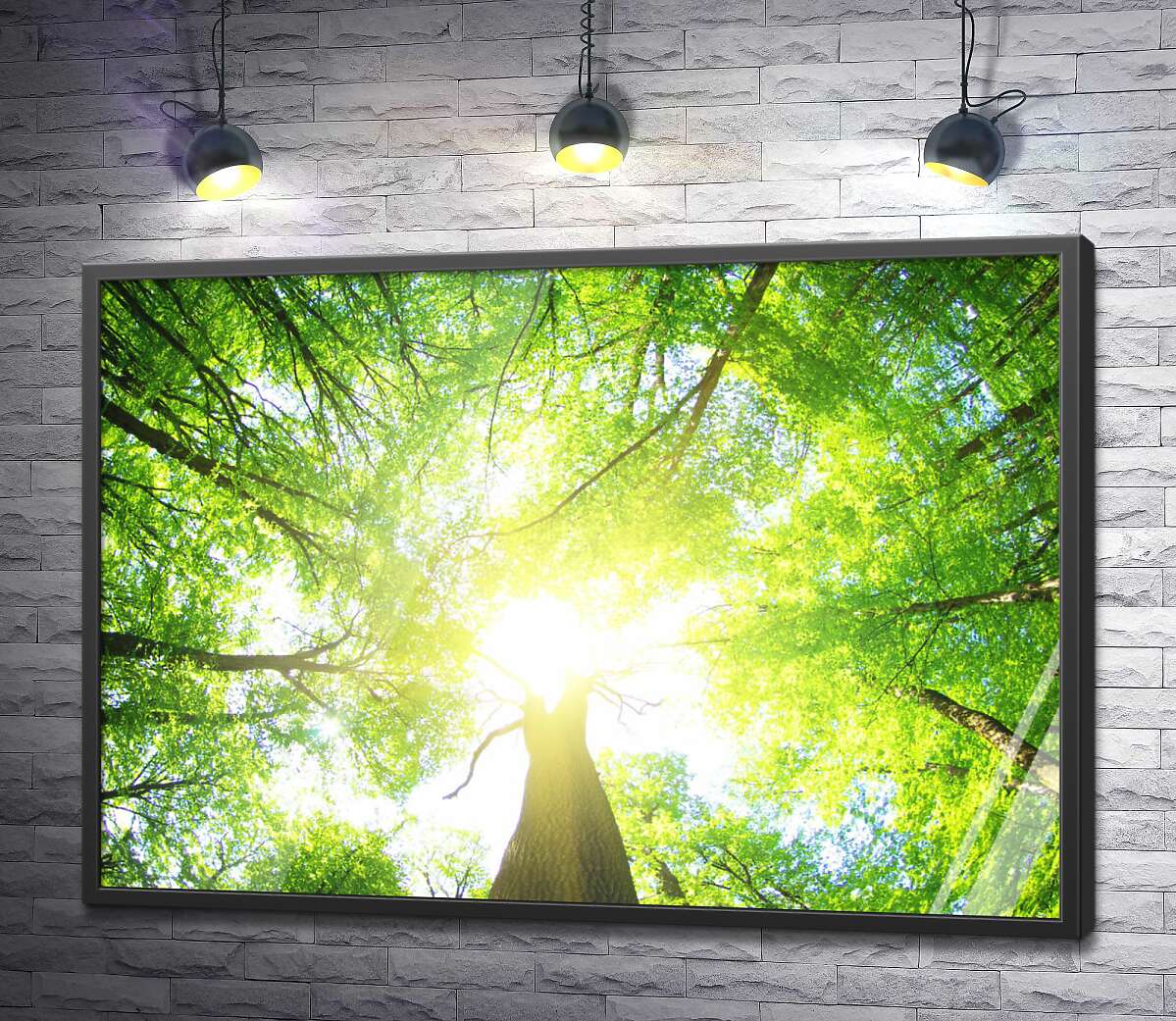 постер Сонячне проміння пробивається крізь зелене листя дерев