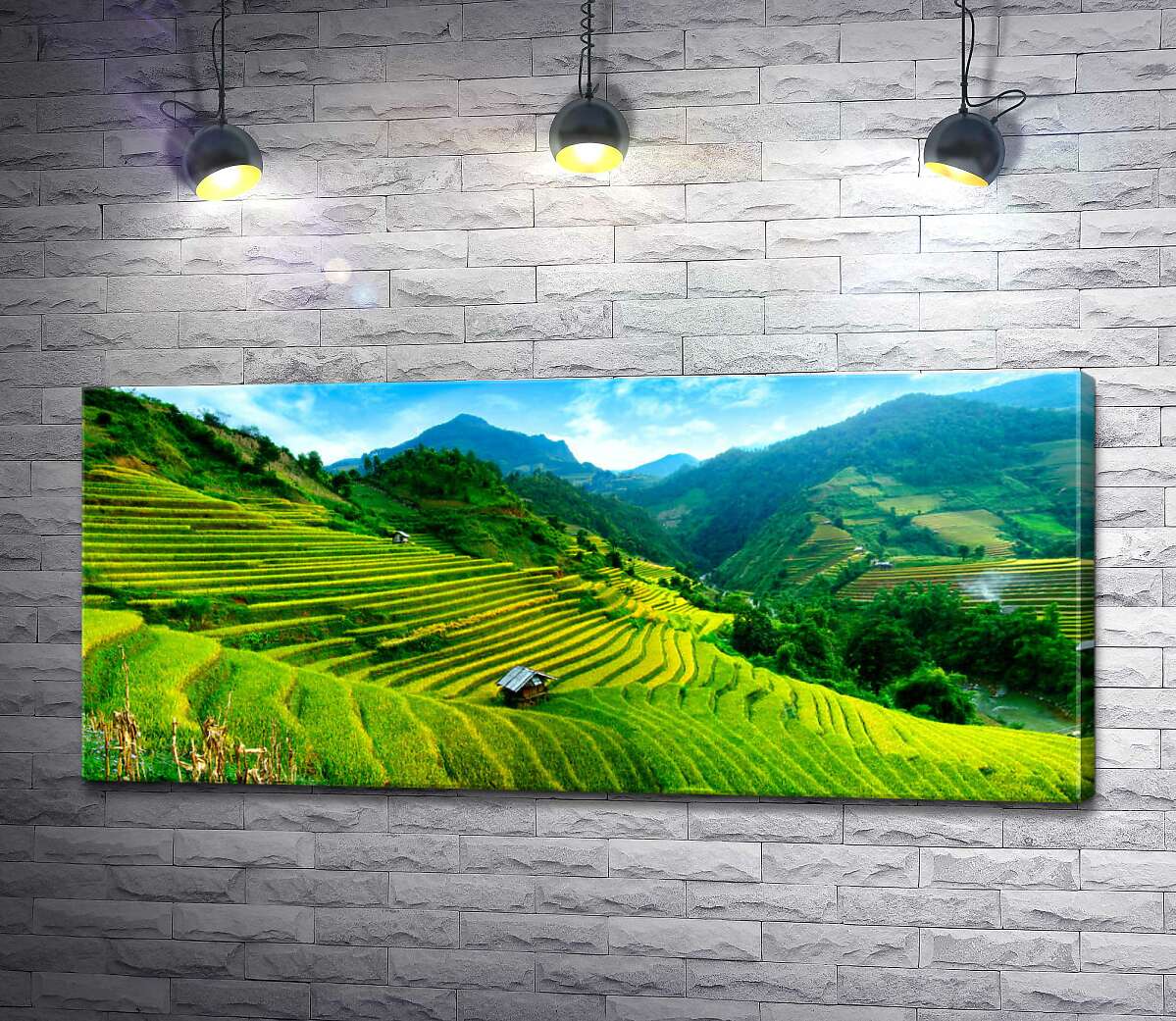 картина Зеленые склоны рисовых полей