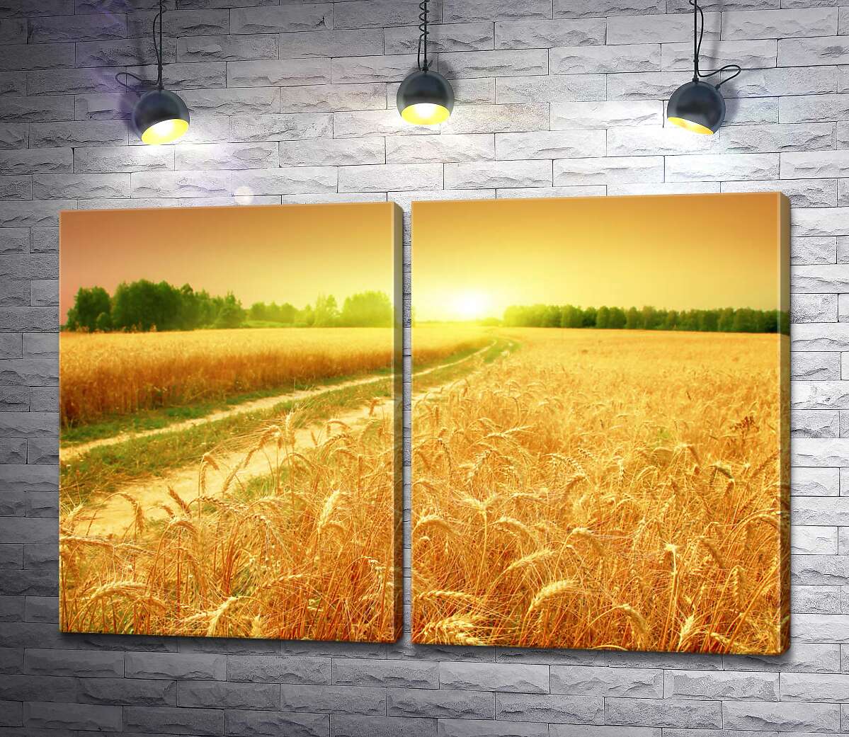 модульная картина Полевая дорога зеленой лентой проходит между желтыми колосьями пшеницы
