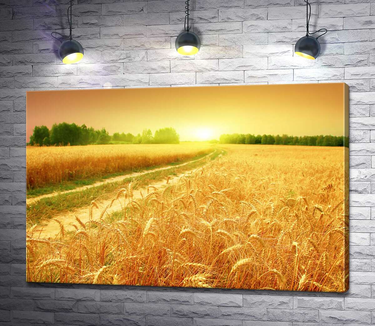 картина Польова дорога зеленою стрічкою проходить між жовтого колосся пшениці