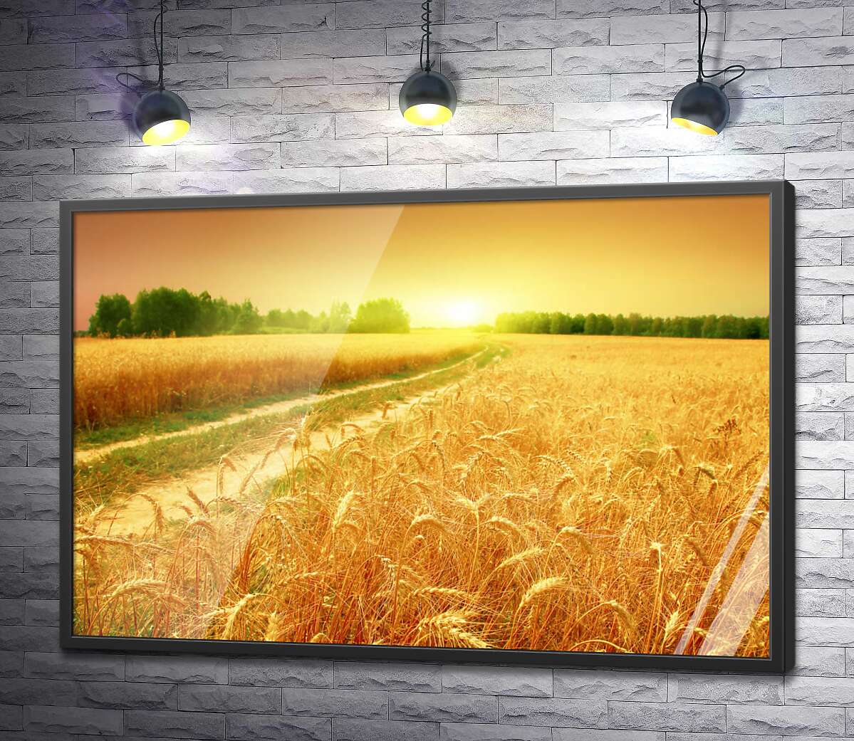 постер Польова дорога зеленою стрічкою проходить між жовтого колосся пшениці