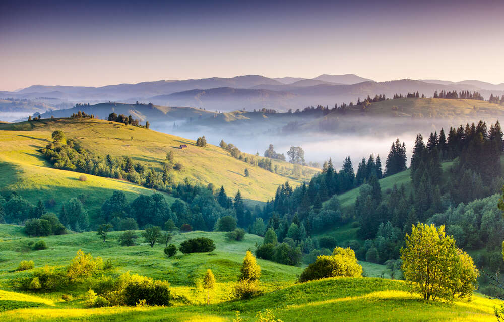 картина-постер Зеленые склоны гор покрыты разнообразием деревьев