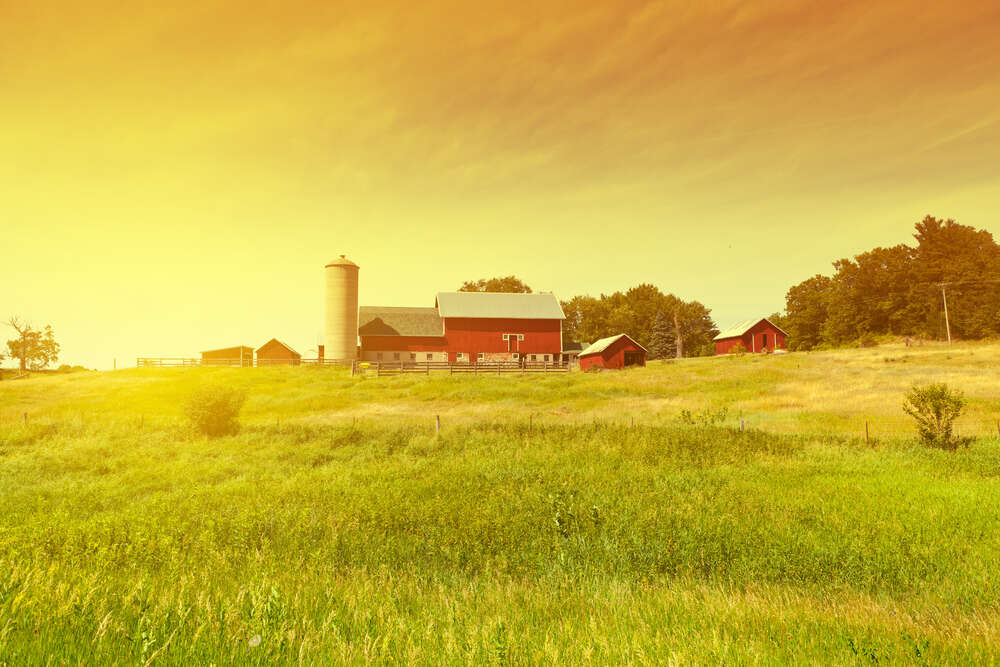 картина-постер Червоні будинки ферми серед зеленого поля