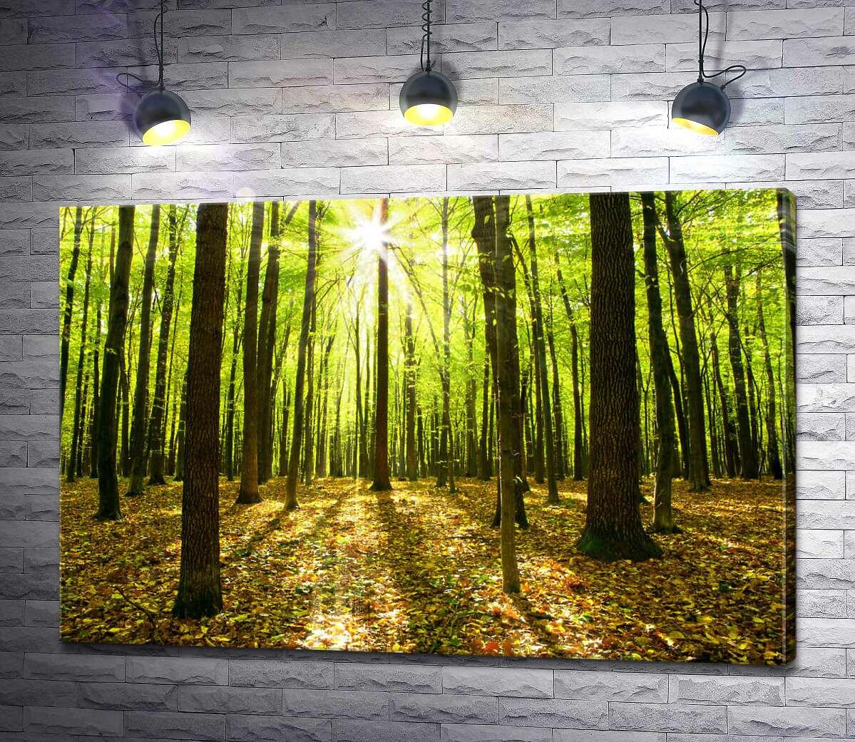 картина Сонячне проміння пробивається крізь зелене листя лісових дерев