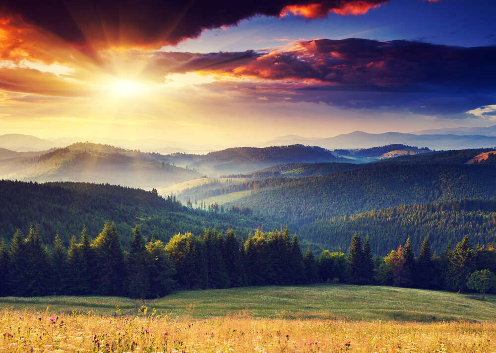 картина-постер Солнце светит на лесистые горные склоны
