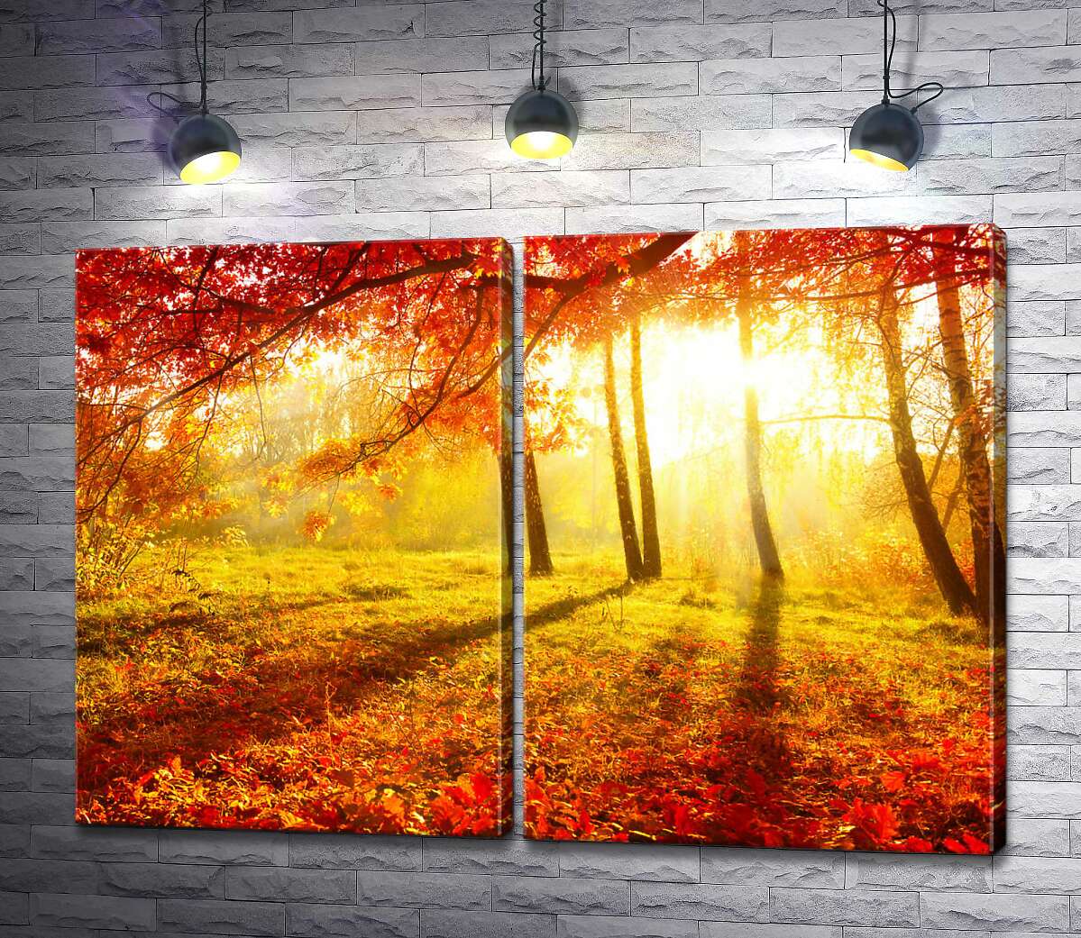 модульна картина Осіннє сонце підсвічує червоне листя дерева