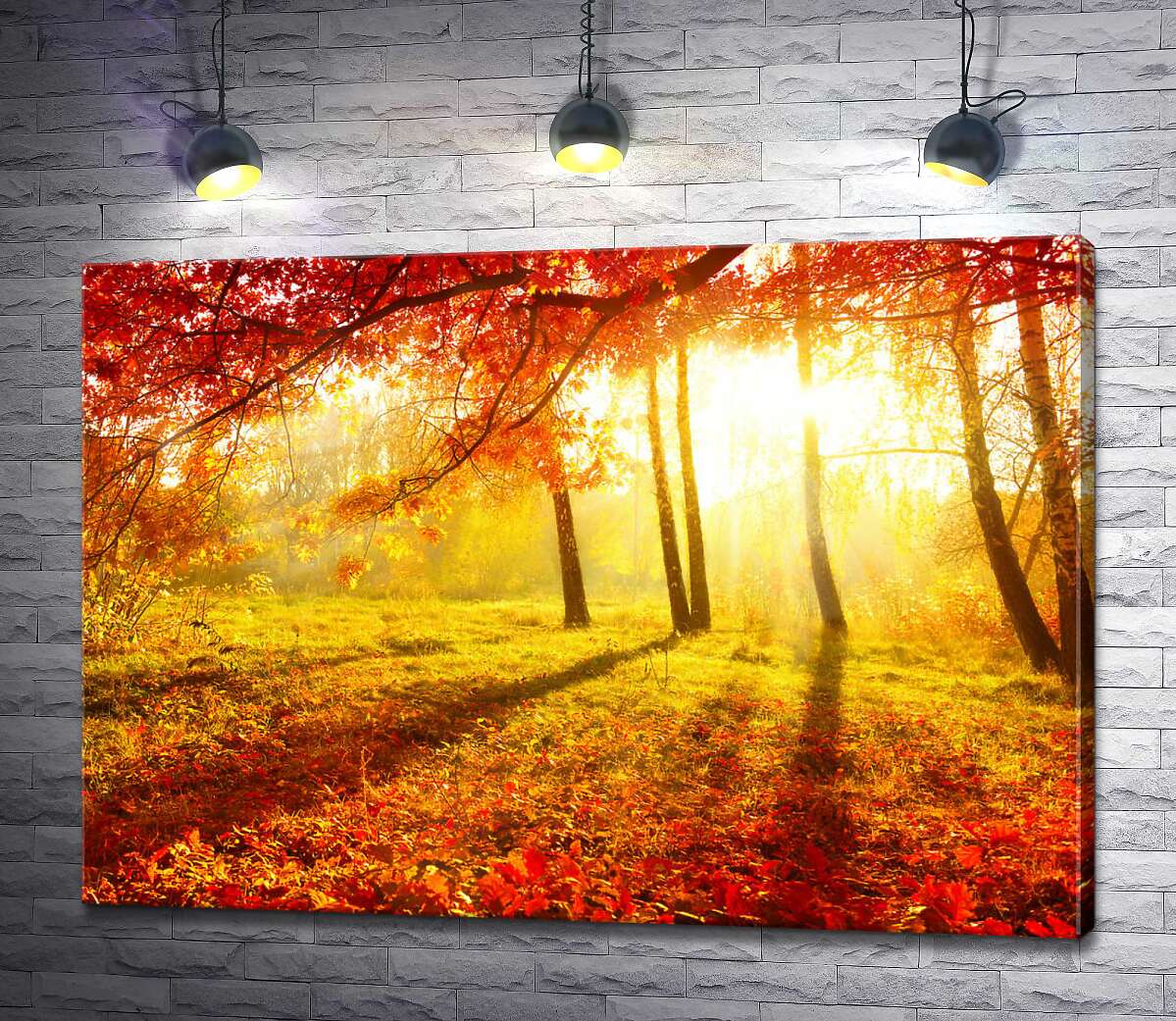 картина Осеннее солнце подсвечивает красные листья дерева