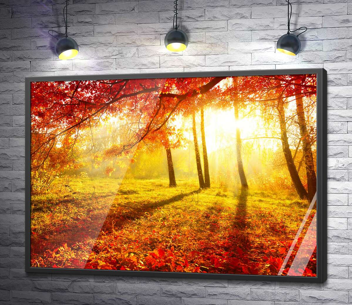 постер Осеннее солнце подсвечивает красные листья дерева