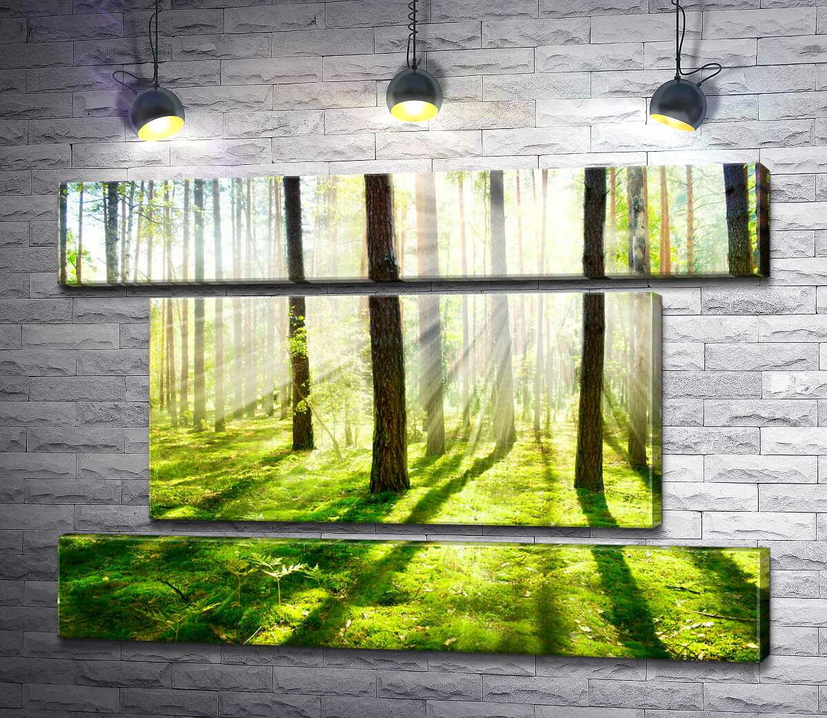 модульна картина Рівна тінь дерева падає на м'який килим з моху (Модуль №18)
