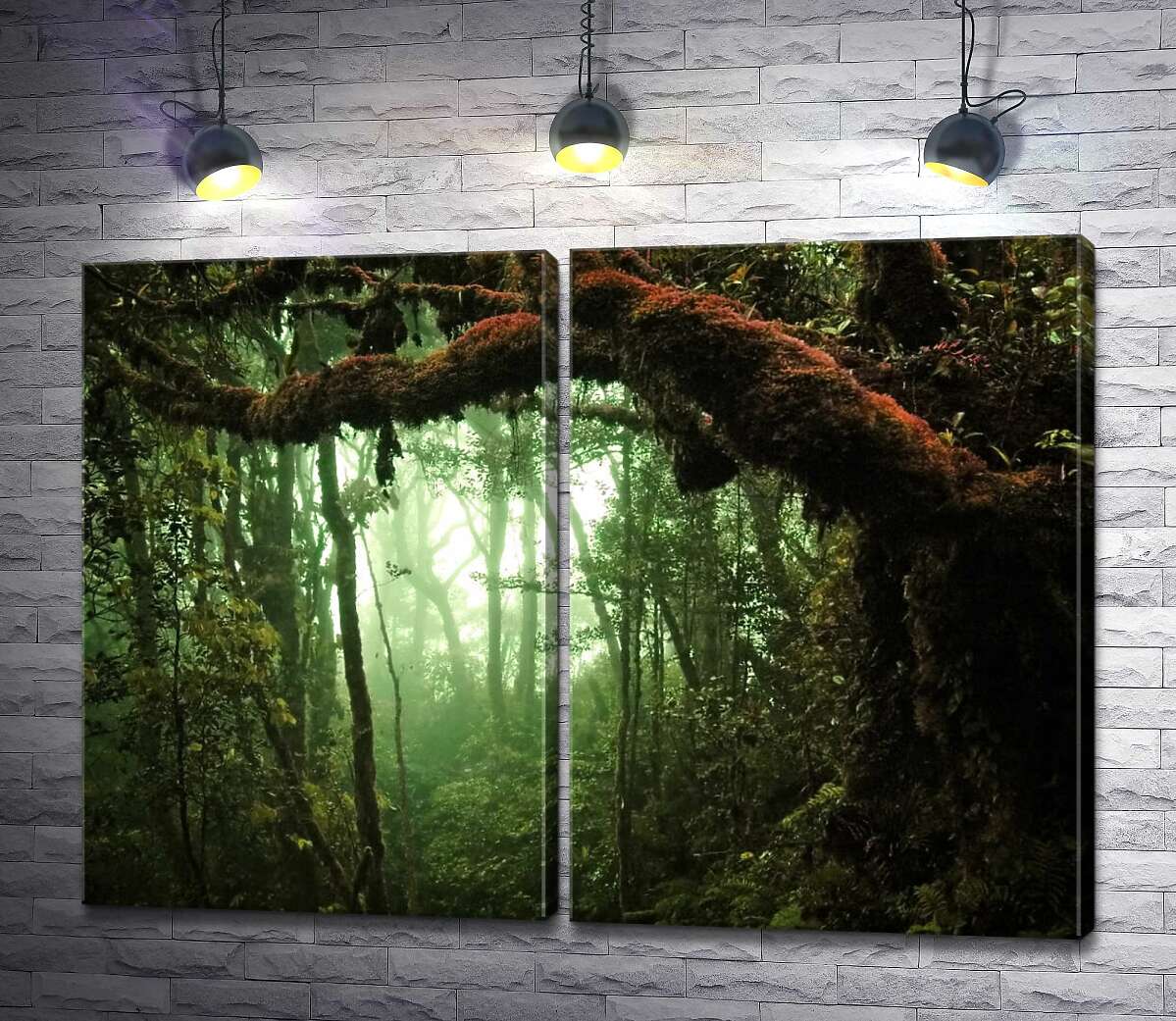 модульна картина Густі ліани обвили тропічне дерево