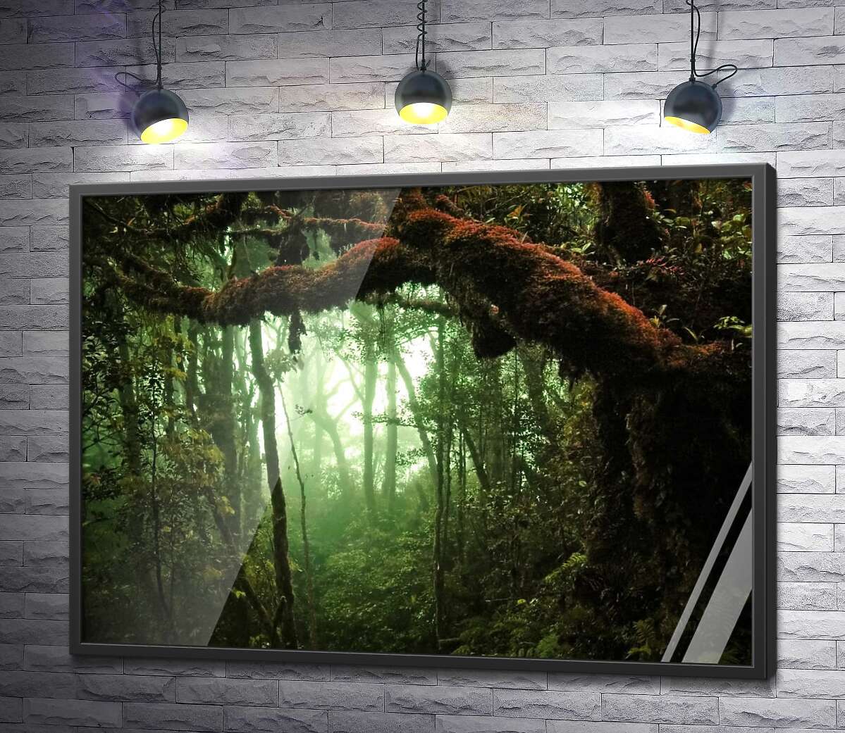 постер Густі ліани обвили тропічне дерево