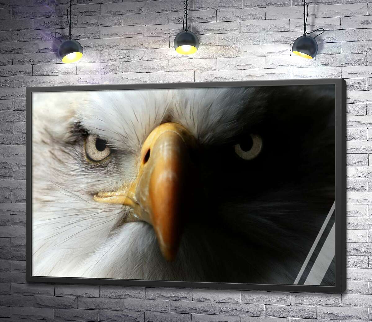 постер Суровый взгляд могущественного орла