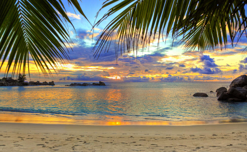 картина-постер Вид на вечірній тропічний пляж з тіні пальмового листя