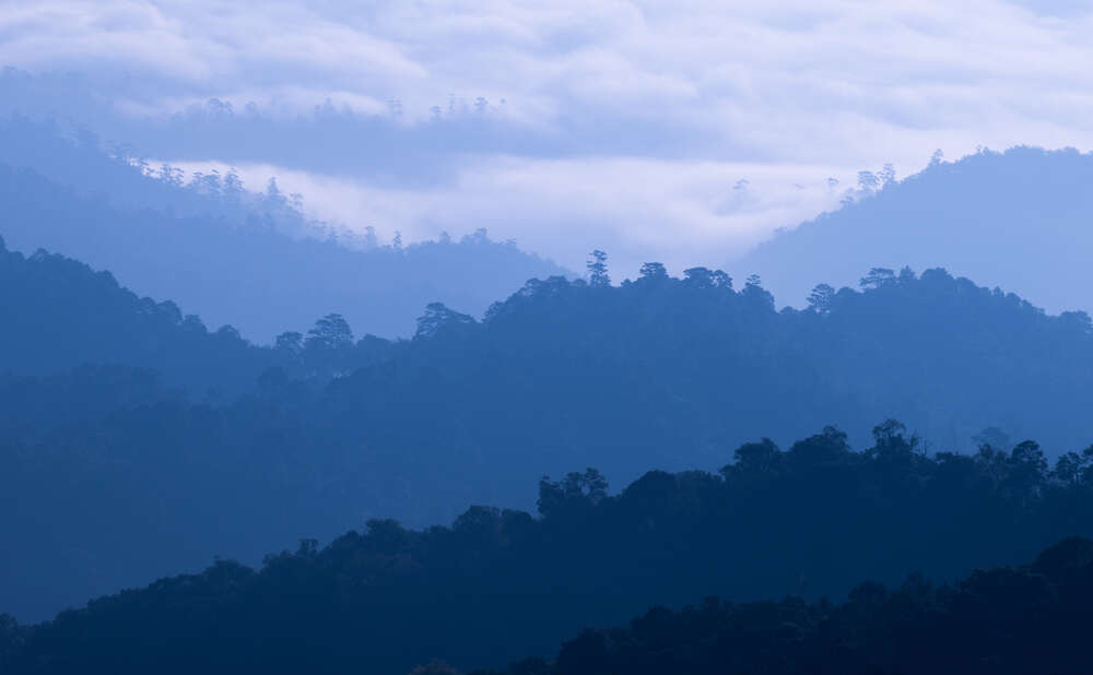 картина-постер Туманные силуэты лесных холмов
