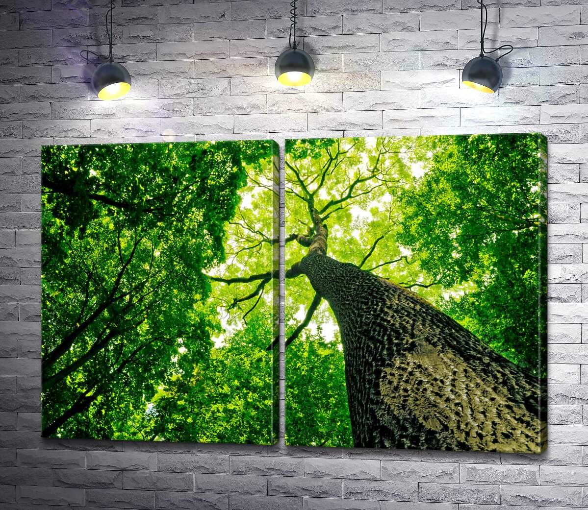 модульная картина Мощный ствол дерева тянется зеленой кроной к небу