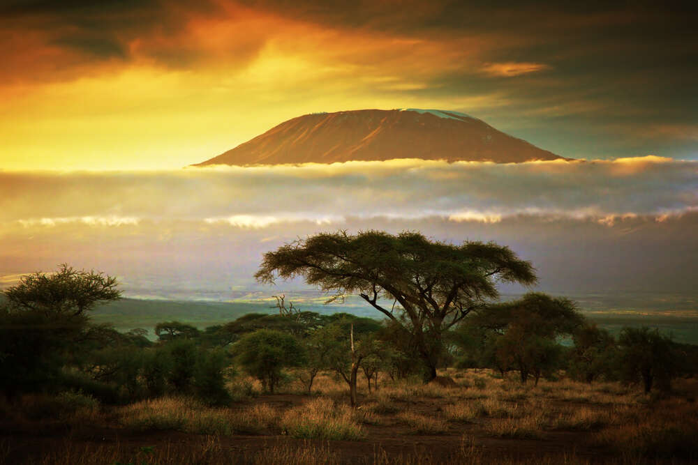 картина-постер Вид на гору Килиманджаро (Kilimanjaro) из саванны