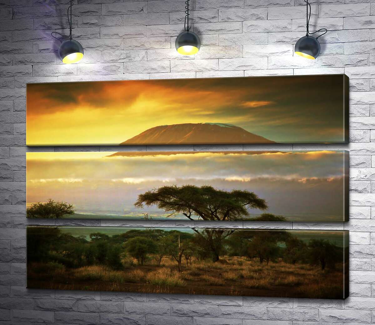 модульна картина Вид на гору Кіліманджаро (Kilimanjaro) із савани (Модуль №15)