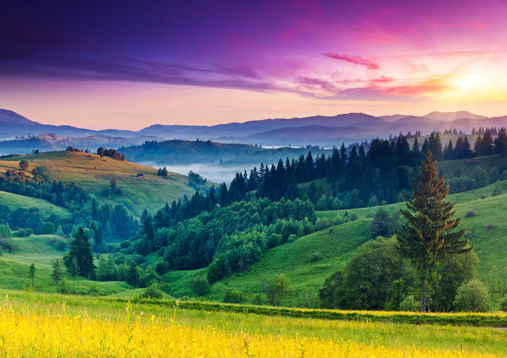 картина-постер Ранкове сонце світить на схили зелених гір