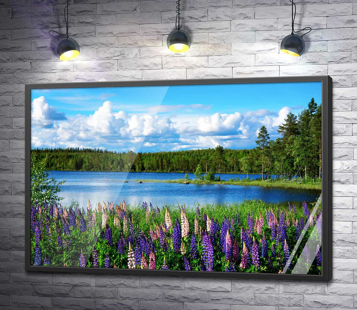 постер Летние цветы люпина укрыли берег лесного озера