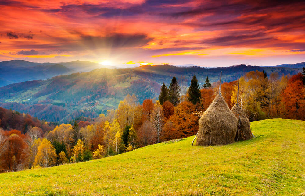 картина-постер Стог сена на горном склоне возле осеннего леса