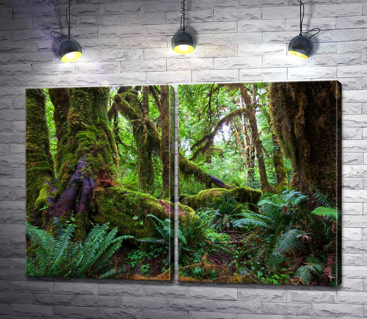модульна картина Гігантські стовбури дерев у джунглях обросли мохом