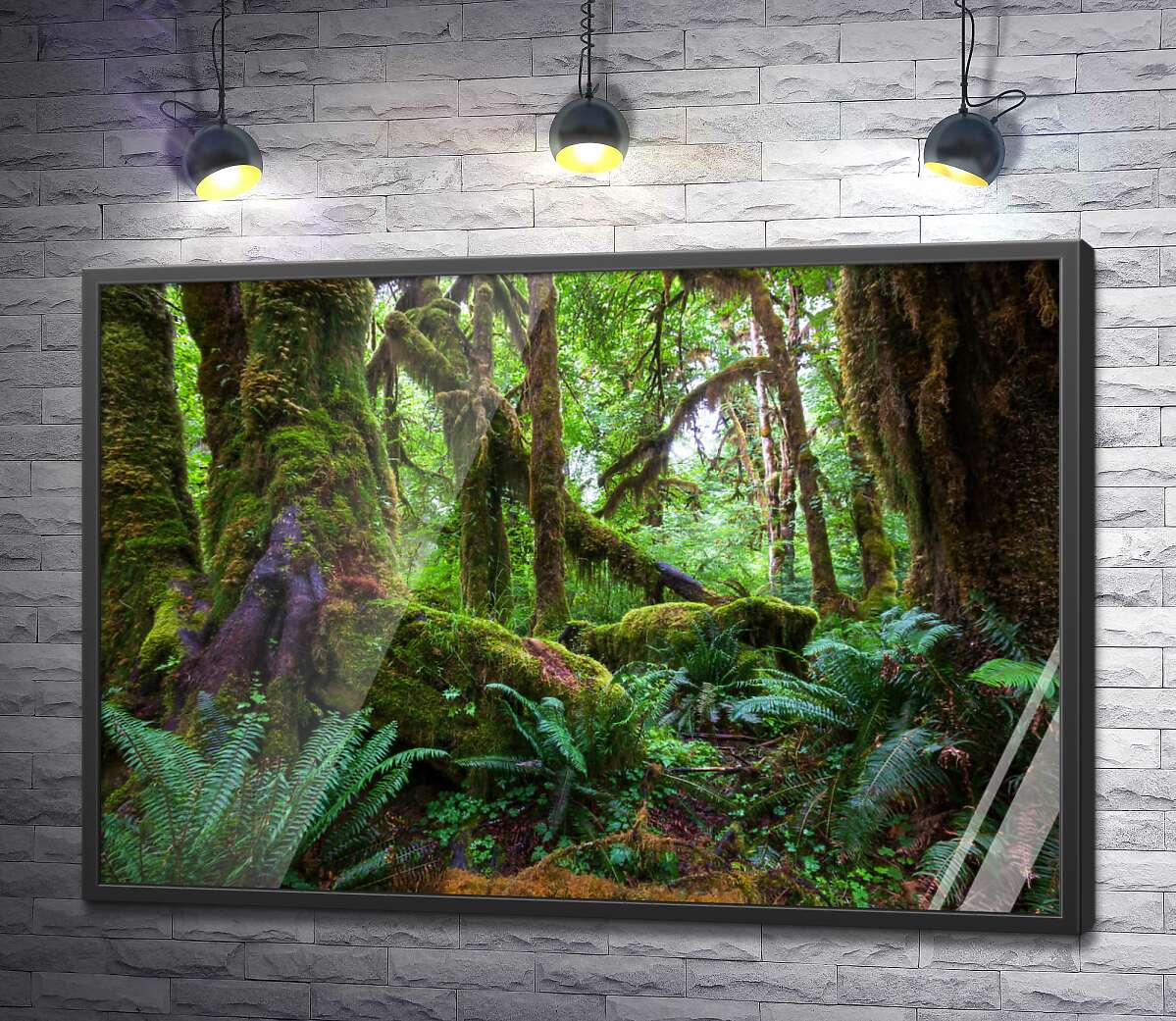 постер Гігантські стовбури дерев у джунглях обросли мохом