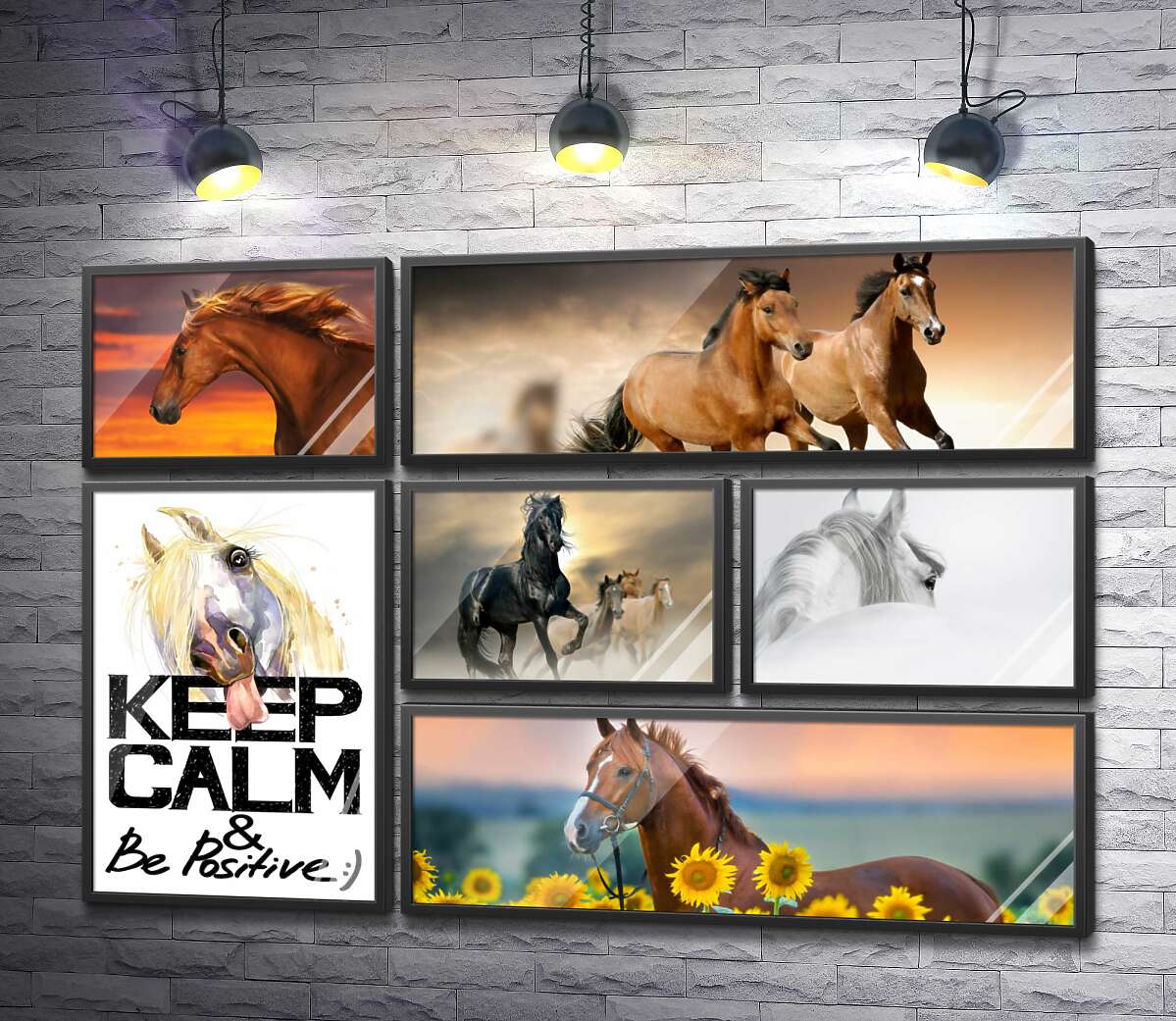 постер-колаж Краса мастей благородних коней
