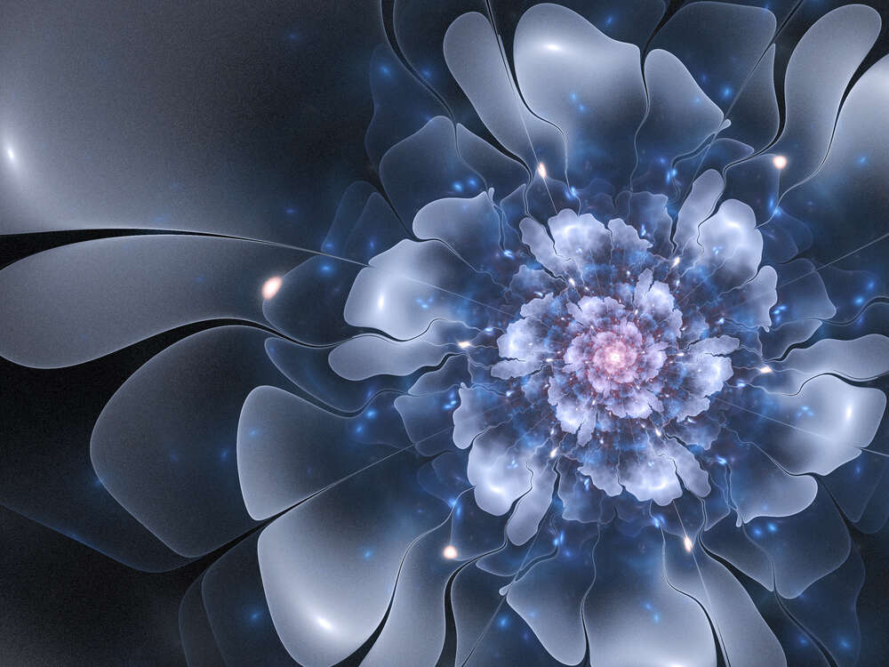 картина-постер Хвилясті форми пелюсток синьої квітки