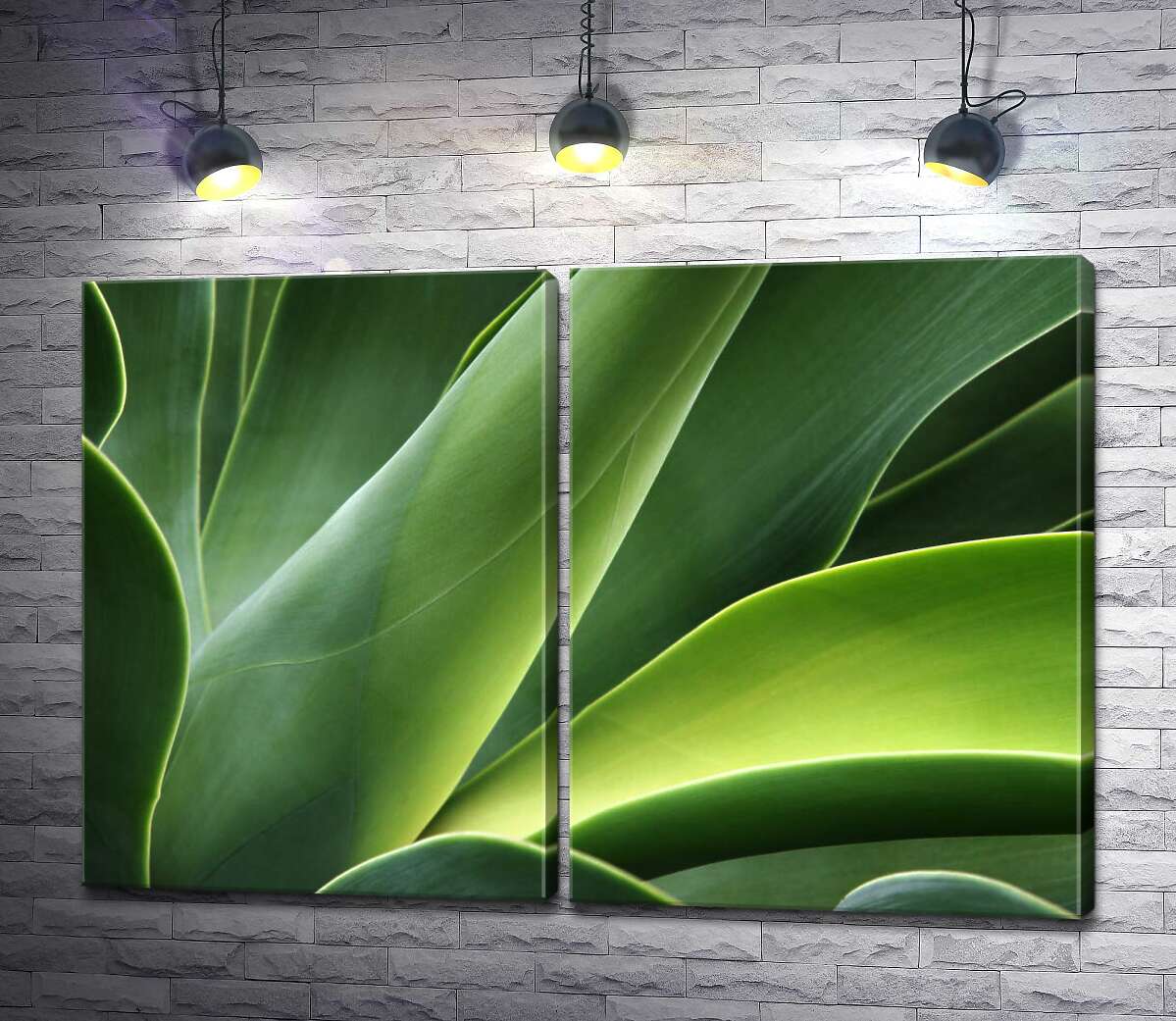модульная картина Большие сочные листья тропического растения агавы