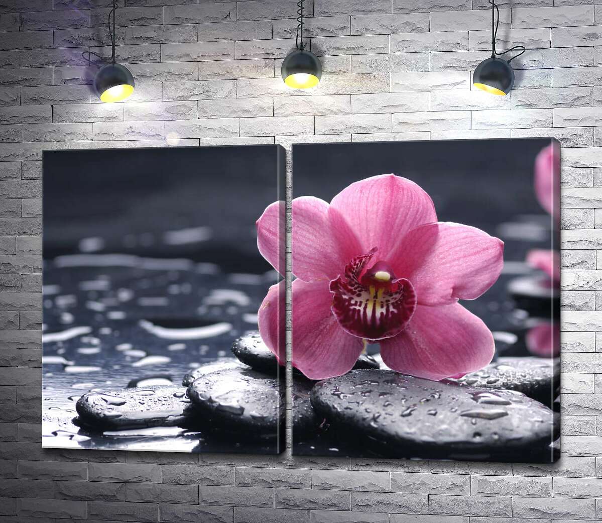 модульная картина Нежная орхидея с яркой серединкой лежит на черных гладких камнях