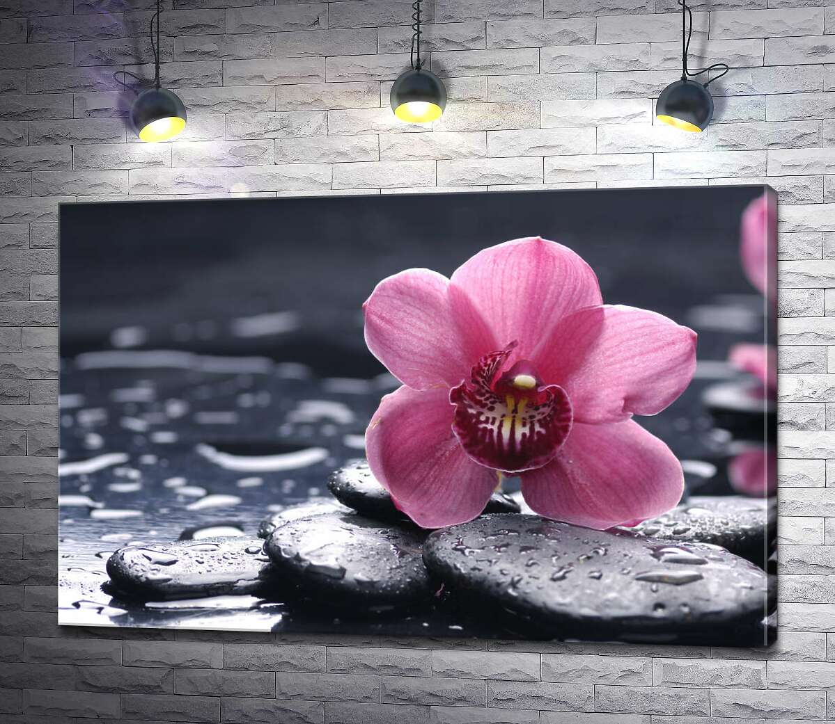 картина Ніжна орхідея з яскравою серединкою лежить на чорному гладкому камінні