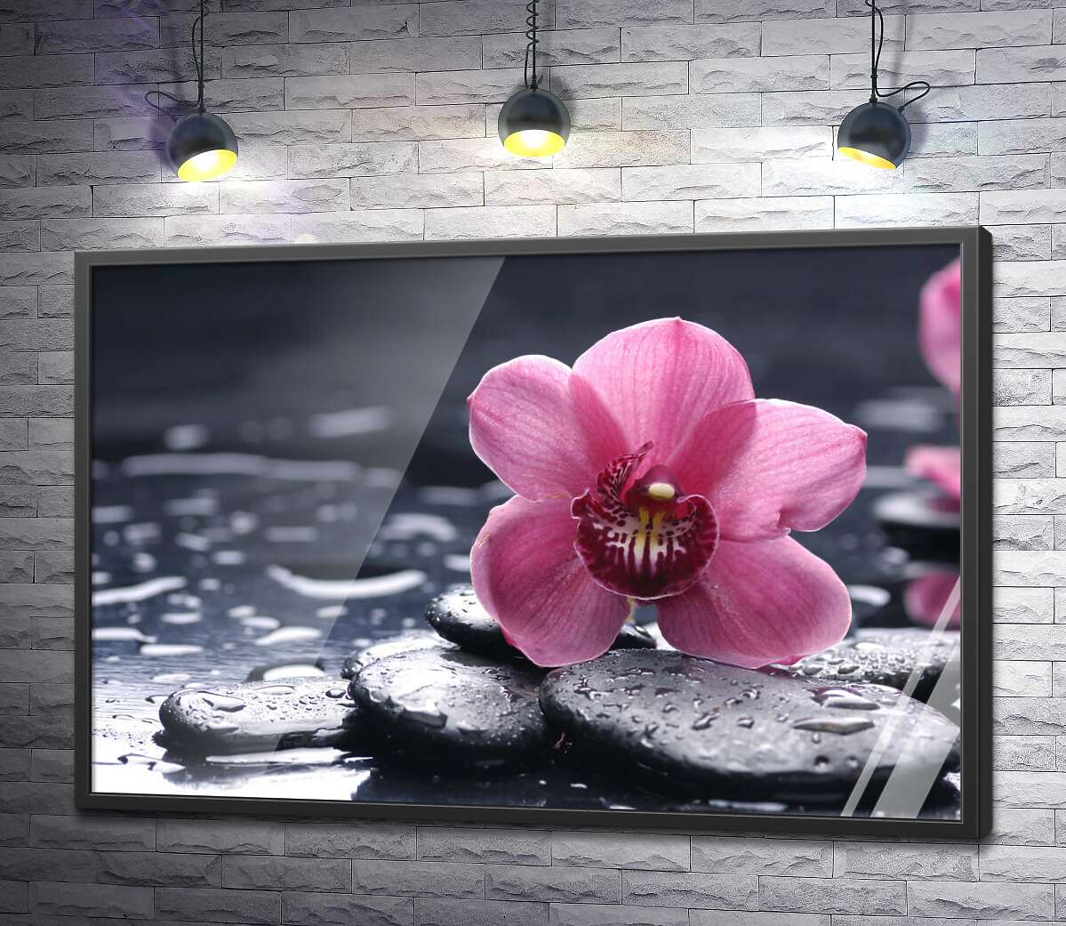 постер Нежная орхидея с яркой серединкой лежит на черных гладких камнях