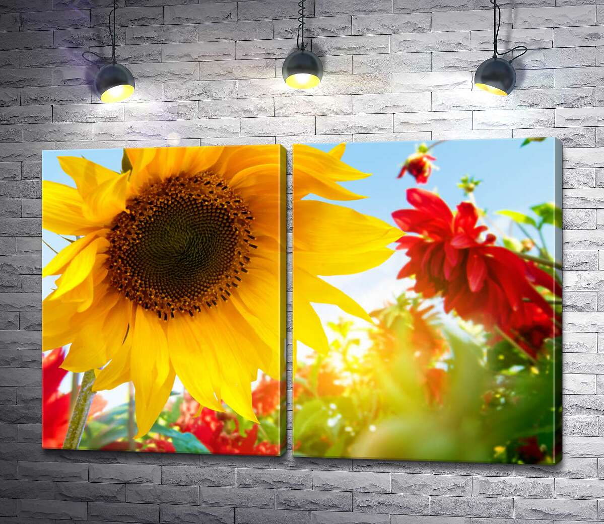 модульна картина Жовтий соняшник пишно цвіте серед клумби червоних жоржин