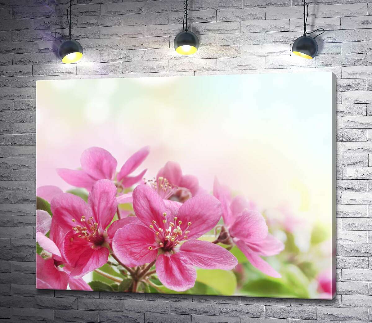 картина Ветка розовых цветочков яблони