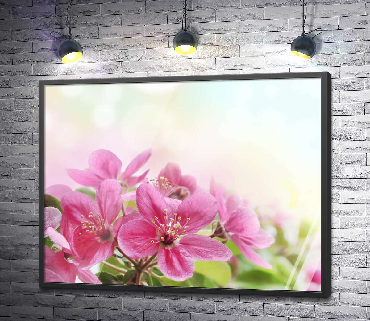 постер Гілка рожевих квіточок яблуні