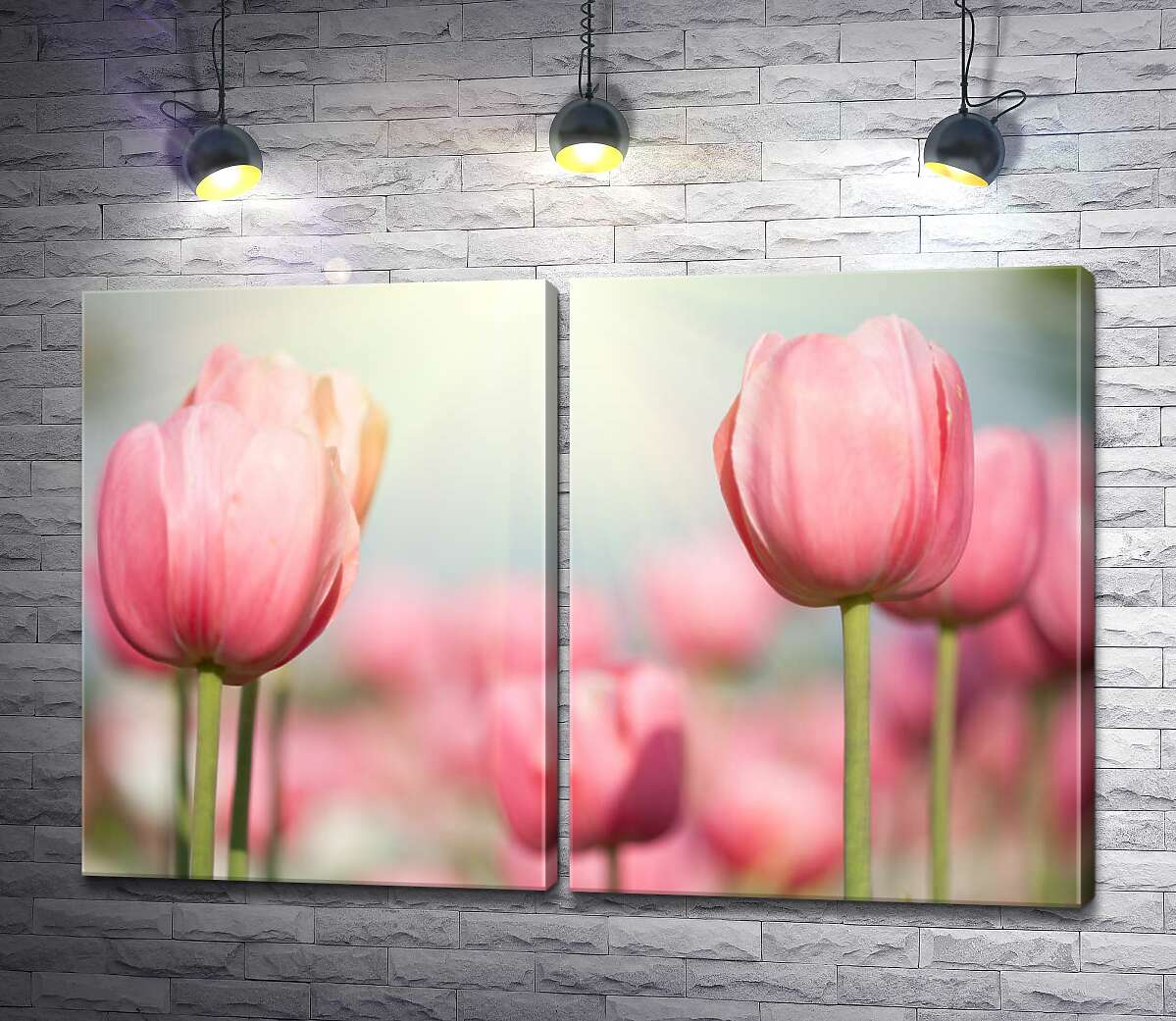 модульная картина Розовые головки тюльпанов тянутся к весеннему солнцу