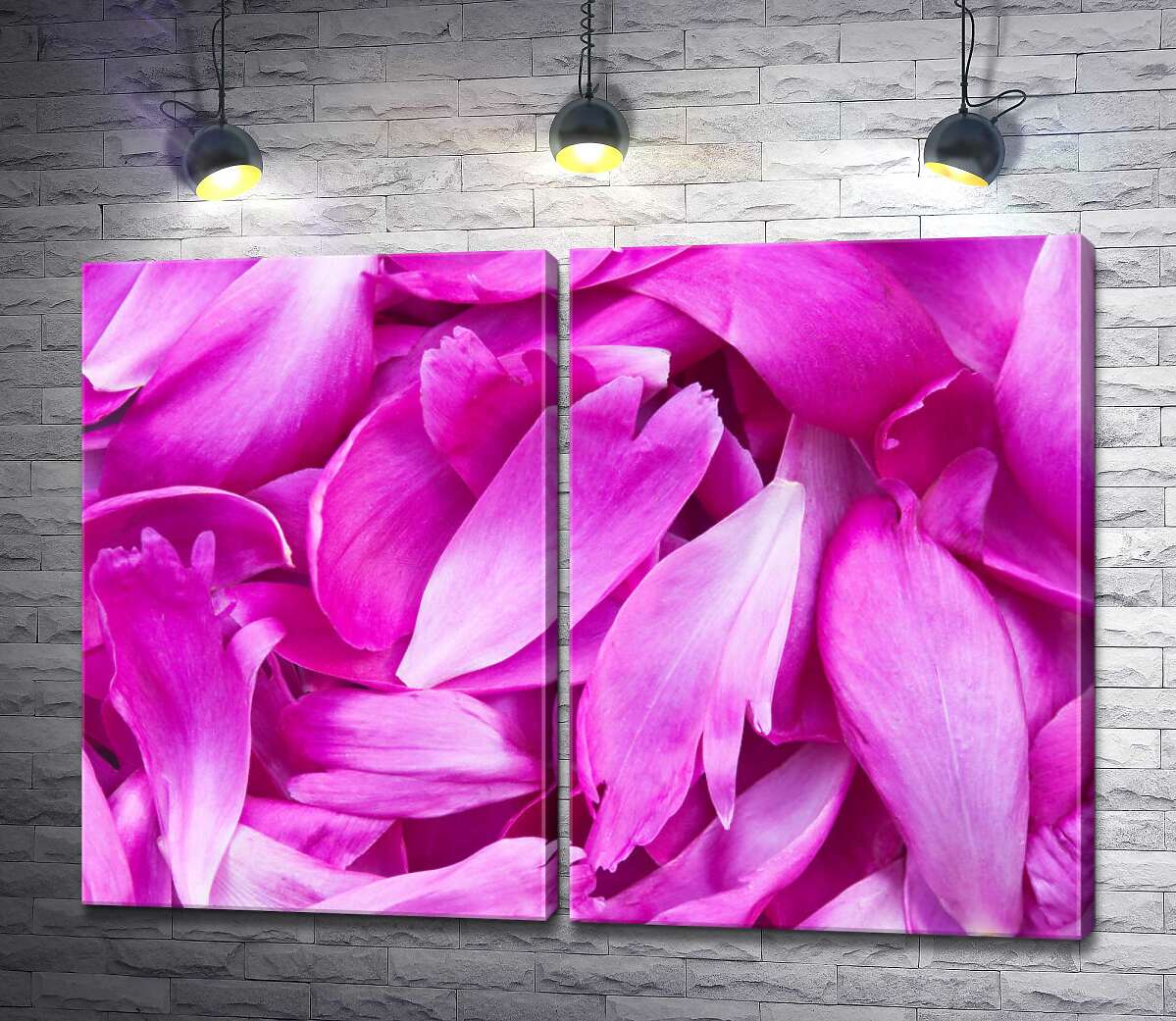 модульная картина Яркость розовых лепестков пионов