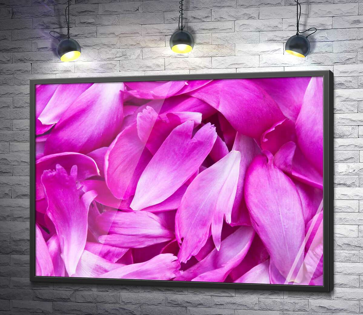 постер Яркость розовых лепестков пионов