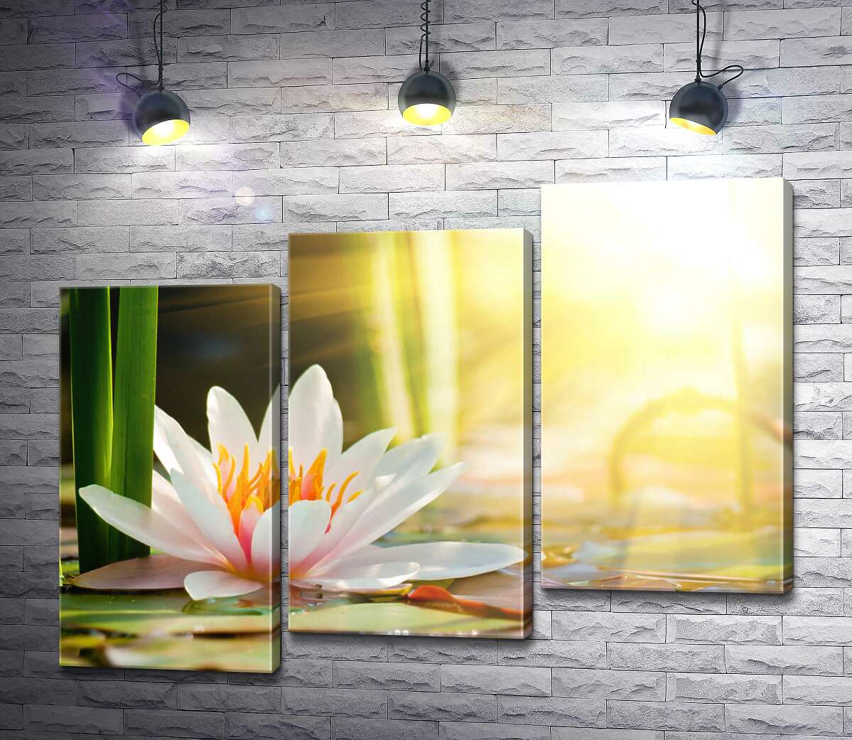 модульная картина Солнце ласково согревает белоснежный цветок лотоса (Модуль №14)